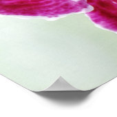 Rosa Orchidee Poster (Ecke)