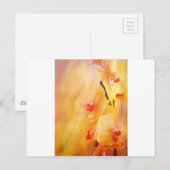 Rosa Orchidee Postkarte (Vorne/Hinten)