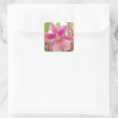 Rosa Orchidee Quadratischer Aufkleber (Tasche)
