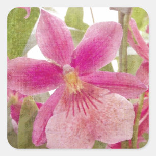 Rosa Orchidee Quadratischer Aufkleber