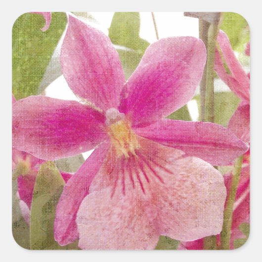 Rosa Orchidee Quadratischer Aufkleber (Vorderseite)