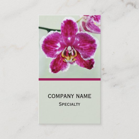 Rosa Orchidee Visitenkarte (Vorderseite)