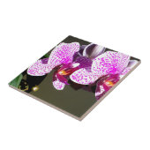 Rosa Orchideen 1 Fliese (Seite)