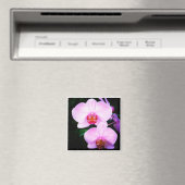 Rosa Orchideen aus dem Paradies Magnet (In Situ (Geschirrspüler))