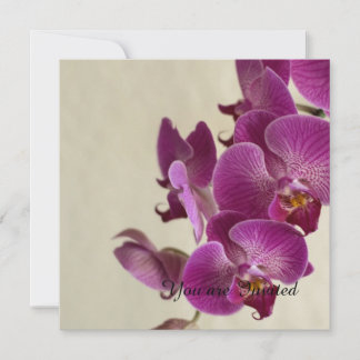 Rosa Orchideen Blume Geburtstag Einladung