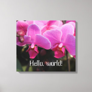 Rosa-Orchideen-Blume Leinwanddruck