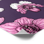 Rosa Orchideen-Blume Poster (Ecke)