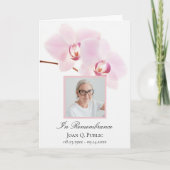 Rosa Orchideen-Blume über den weißen Bestattungsdi Programm (Vorderseite)