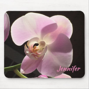 Rosa Orchideen-Blumen-Botanik Mousepad