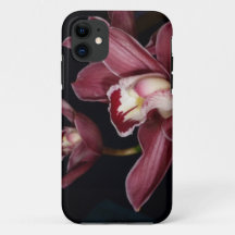 Rosa Orchideen-Blumen iPhone 5 Fall