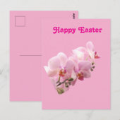 Rosa Orchideen “Frohe Ostern” Postkarte (Vorne/Hinten)