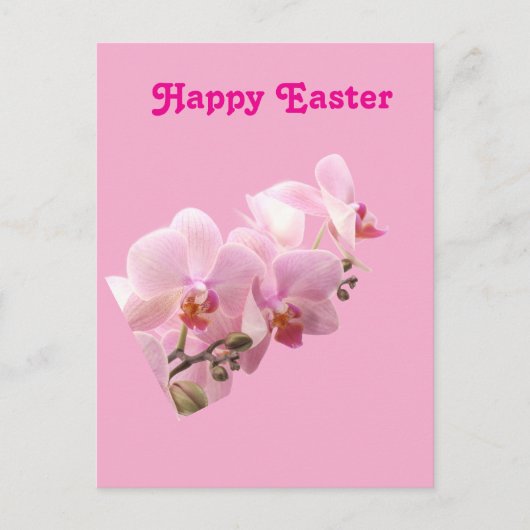 Rosa Orchideen “Frohe Ostern” Postkarte (Vorderseite)