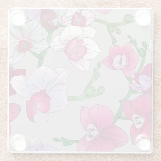 Rosa Orchideen in der Blüte Glasuntersetzer (Rückseite)