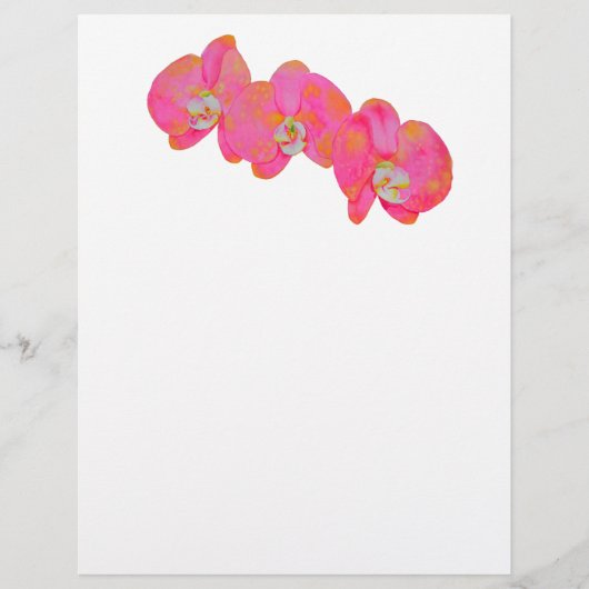 Rosa Orchideen in tropischer Blüte (Vorderseite)