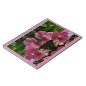 Rosa Orchideen mit Reflektionen Notizblock (Linke Seite)