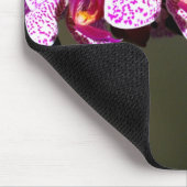 Rosa Orchideen Mousepad (Ecke)