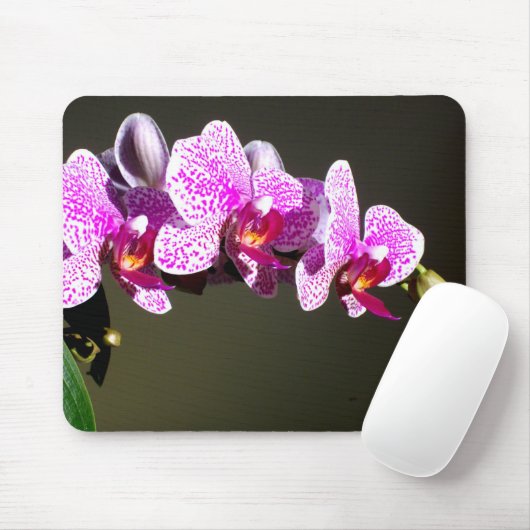 Rosa Orchideen Mousepad (Mit Mouse)
