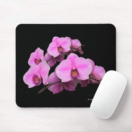 Rosa Orchideen Phalaenopsis Blume auf Schwarz Mousepad (Mit Mouse)