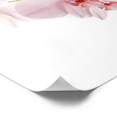 Rosa Orchideen Poster (Ecke)