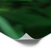 Rosa Orchideen Poster (Ecke)