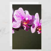 Rosa Orchideen, rosa tropische Blume Briefpapier (Vorne/Hinten)