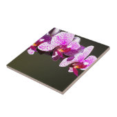 Rosa Orchideen Rosa tropische Blume Fliese (Seite)