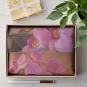 Rosa Orchideen Seidenpapier (Geschenk)