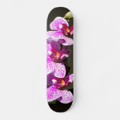 Rosa Orchideen Skateboard (Vorderseite)