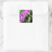 Rosa Orchideen Sticker für tropische Hochzeiten in (Tasche)