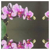 Rosa Orchideen Stoff (Nahaufnahme)