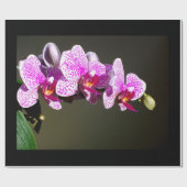 Rosa Orchideen tropisches Foto Geschenkpapier (Flach)