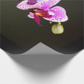 Rosa Orchideen tropisches Foto Geschenkpapier (Ecke)