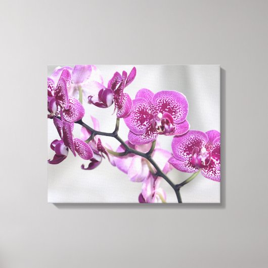 Rosa Orchideen Wrapped Canvas Leinwanddruck (Vorderseite)