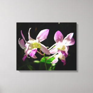 Rosa Orchideen Wrapped Canvas Leinwanddruck