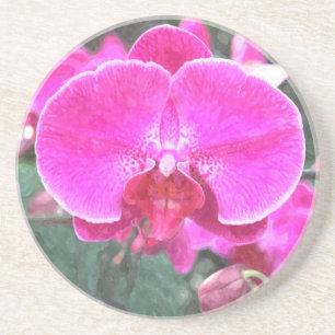 Rosa Orchideenblüte, Blumenfotografie Getränkeuntersetzer