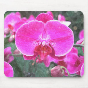Rosa Orchideenblüte, Blumenfotografie Mousepad
