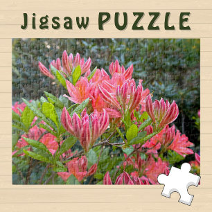 Rosa Orchideenblüten blühende ästhetische Foto -  Puzzle