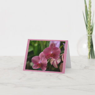 Rosa Orchideenkarte Karte