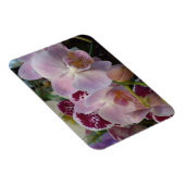 Rosa Orchids Magnet (Rechte Seite)