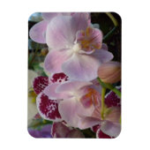 Rosa Orchids Magnet (Vertikal)