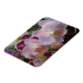 Rosa Orchids Magnet (Linke Seite)