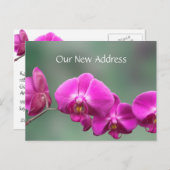 Rosa Orchids neue Adresse Ankündigungspostkarte (Vorne/Hinten)