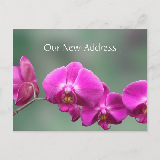 Rosa Orchids neue Adresse Ankündigungspostkarte (Vorderseite)