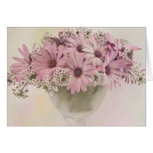 Rosa Osteospernenkarte