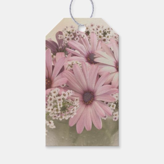 Rosa Osteospernum Geschenkanhänger (Vorderseite)