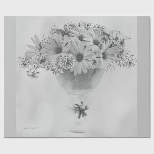 Rosa Osteospernum Geschenkpapier (Flach)