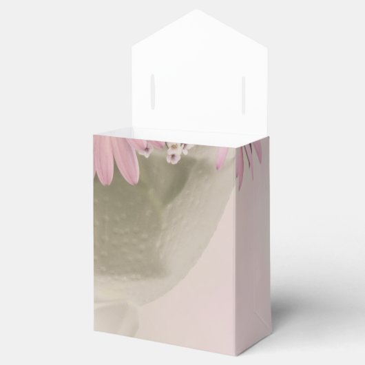 Rosa Osteospernum Geschenkschachtel (Geöffnet)