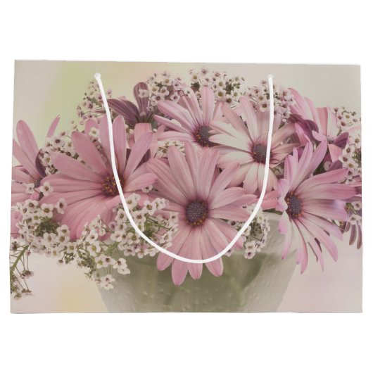 Rosa Osteospernum Große Geschenktüte (Rückseite)