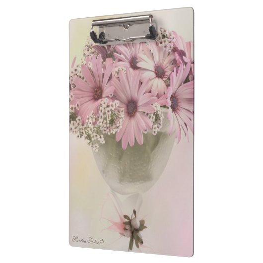 Rosa Osteospernum Klemmbrett (Links)