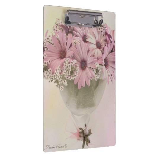 Rosa Osteospernum Klemmbrett (Rechts)